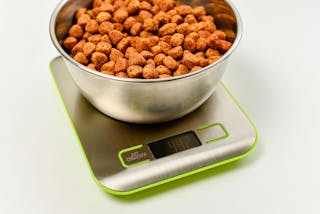 Calculating the energy content of pet food